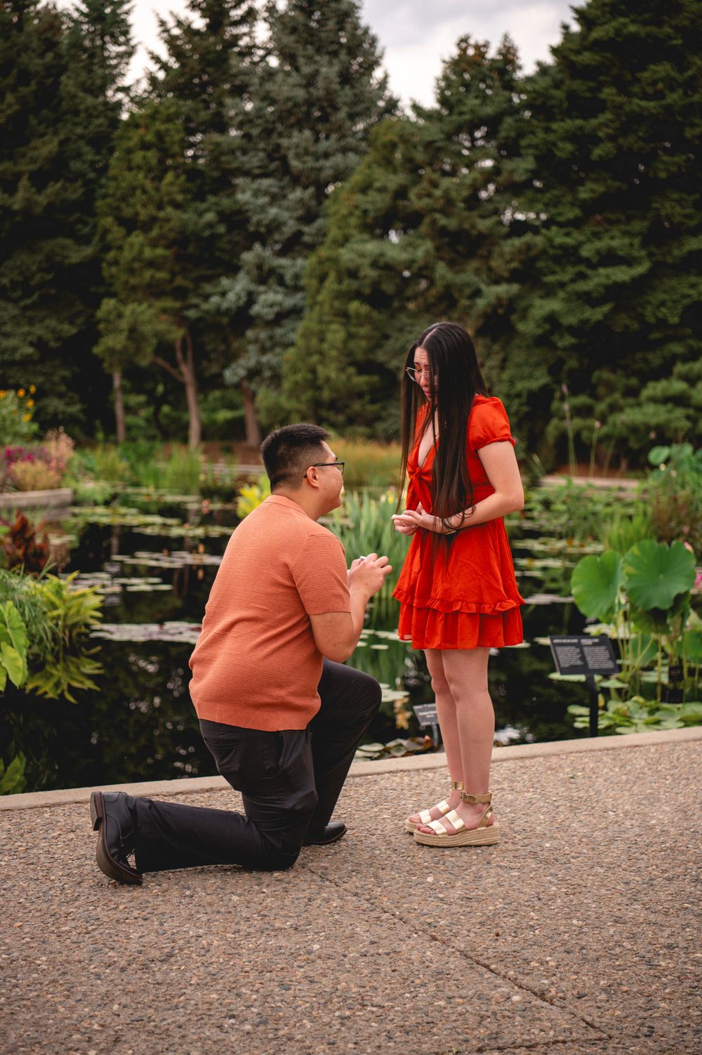 A romantic proposal scene taking place on a path by a scenic garden pond surrounded by evergreen trees.