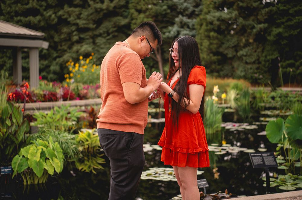 A romantic proposal moment in a beautiful garden setting with lily pads and colorful flowers in the background.