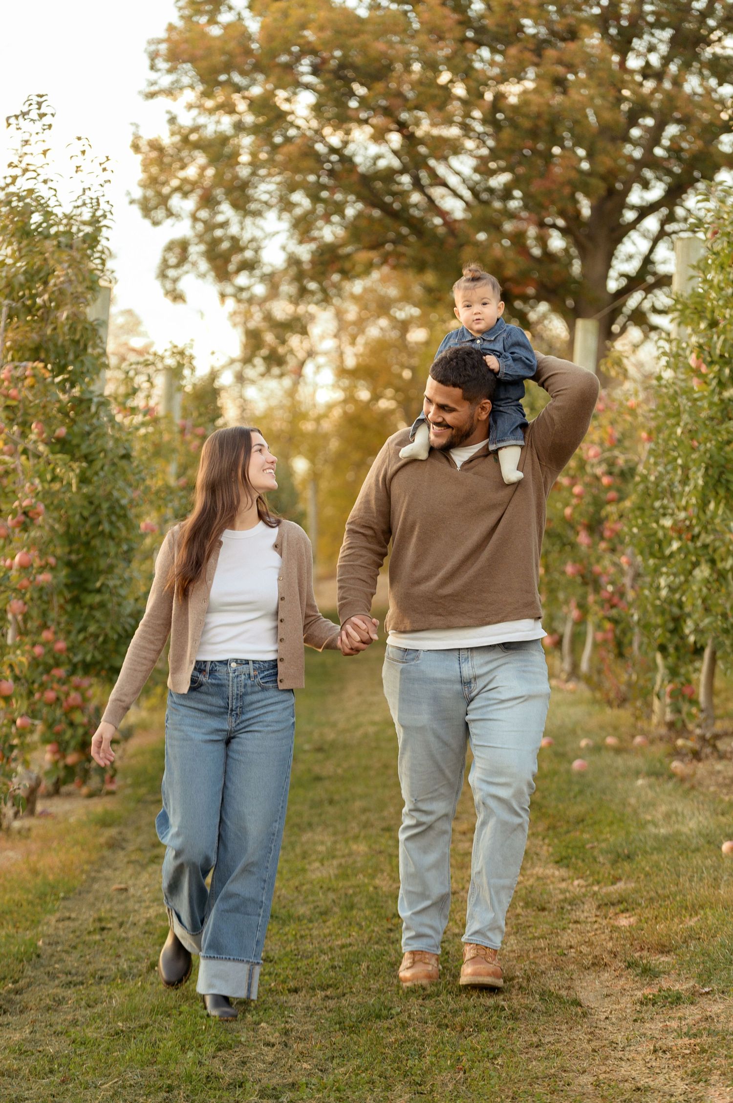 Candid family moments captured while walking through an orchard on a golden autumn afternoon.