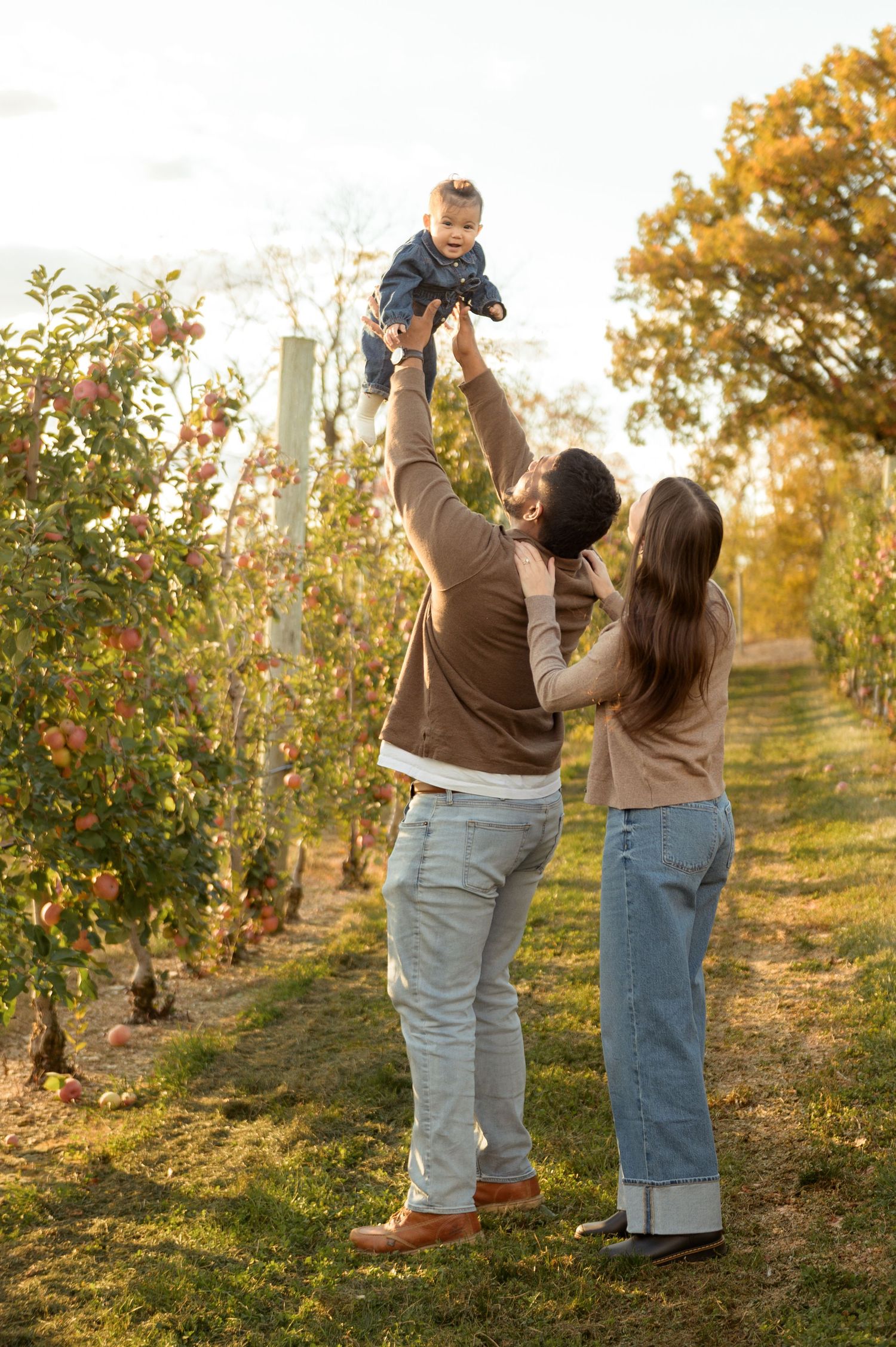 Family playing and lifting child in the air among apple trees during golden hour.