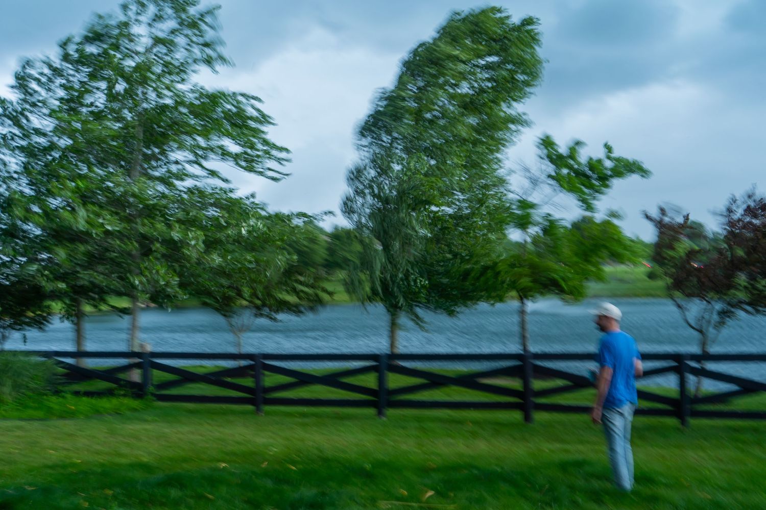 Strong winds blow through trees beside a black split-rail fence creating a dramatic rural landscape scene.