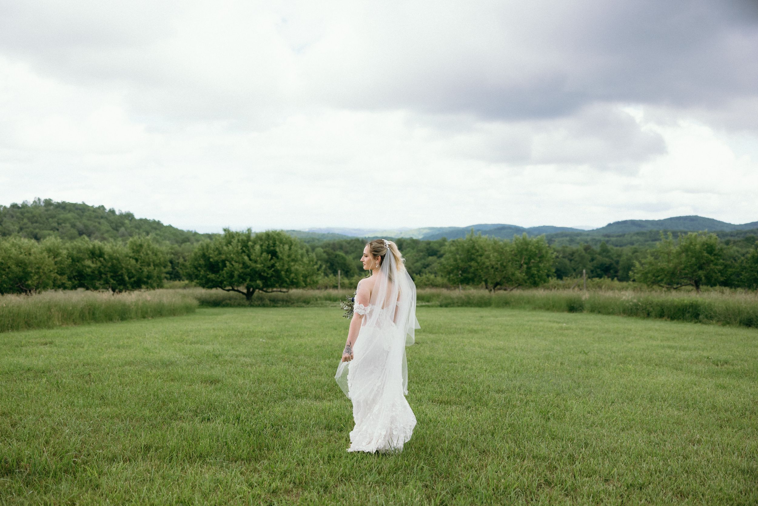 Rolling meadow landscape with mountains and cloudy skies in the background. Estate and historic venue wedding photographer for NC