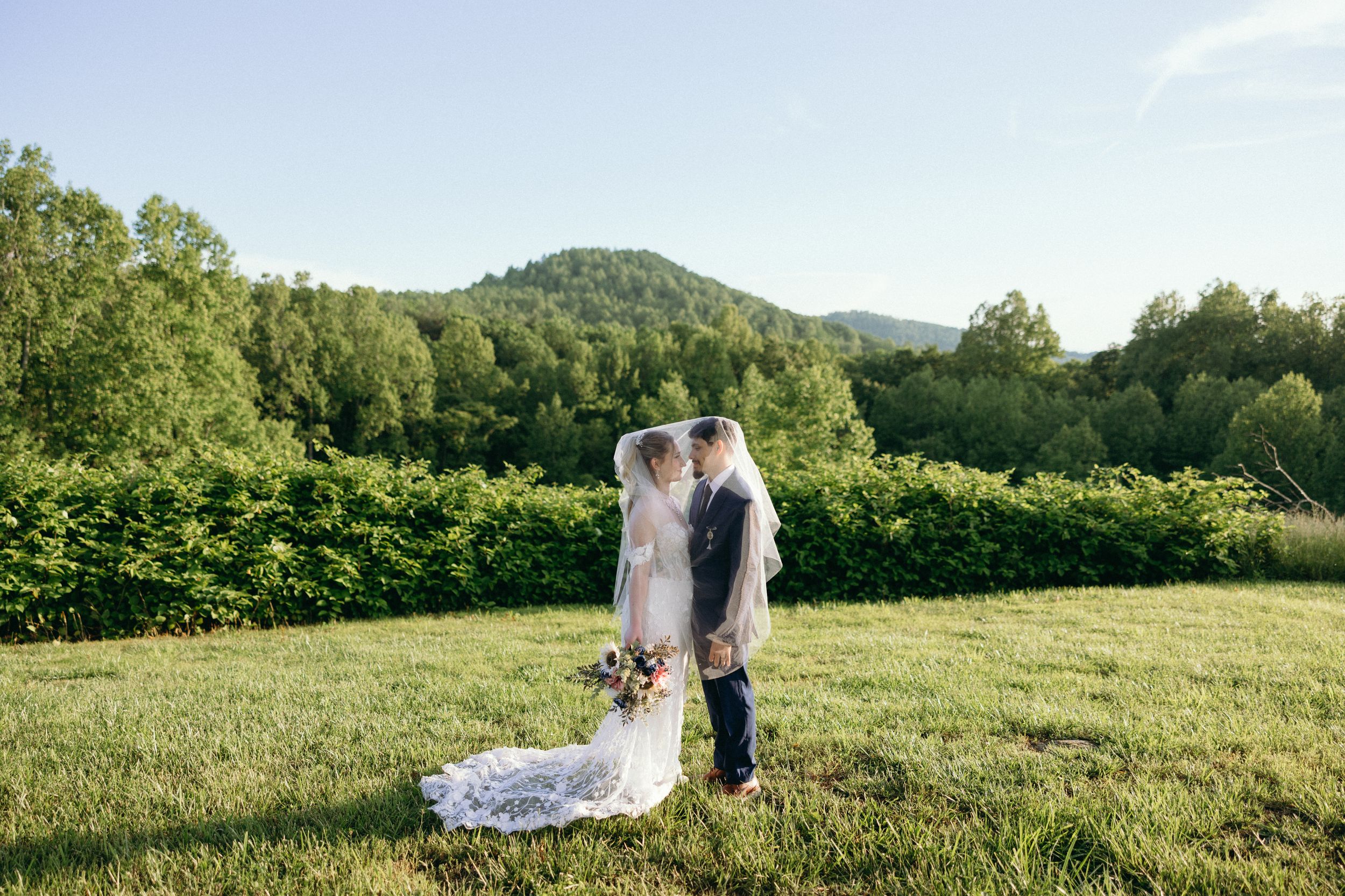 Scenic mountain meadow with green trees and rolling hills creates a romantic wedding setting. Estate and historic venue wedding photographer