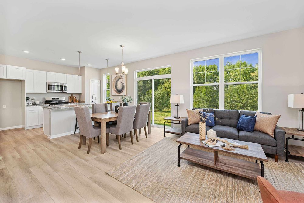 Living room and Kitchen Photograph
