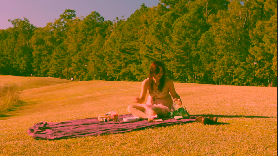 Person lounging on a blanket in a sunny field with golden-tinted trees in background.