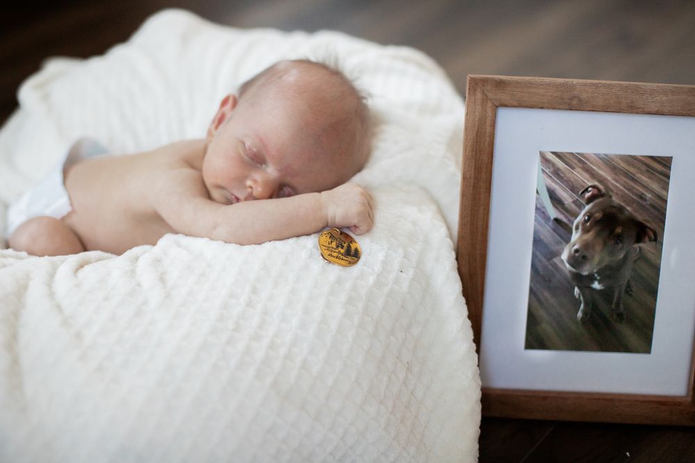 A sleeping newborn baby rests on soft white blankets next to a framed photograph of a dog.