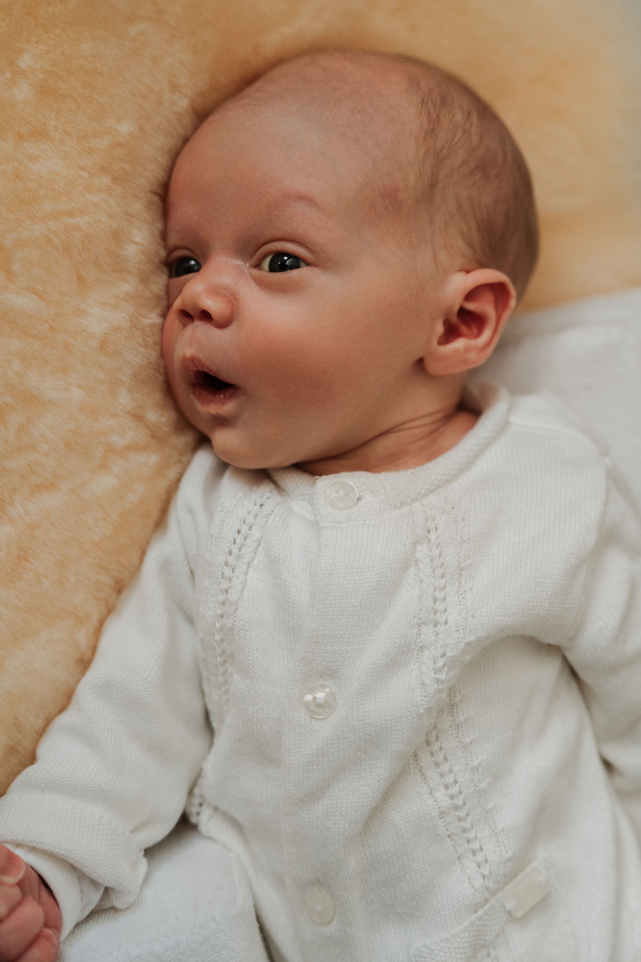 Bodil de Jong Fotografie Aalsmeer Newbornshoot Newborn Fotograaf Amsterdam Noord-Holland Studiofotografie Shoot Fotoshoot Zwangerschap