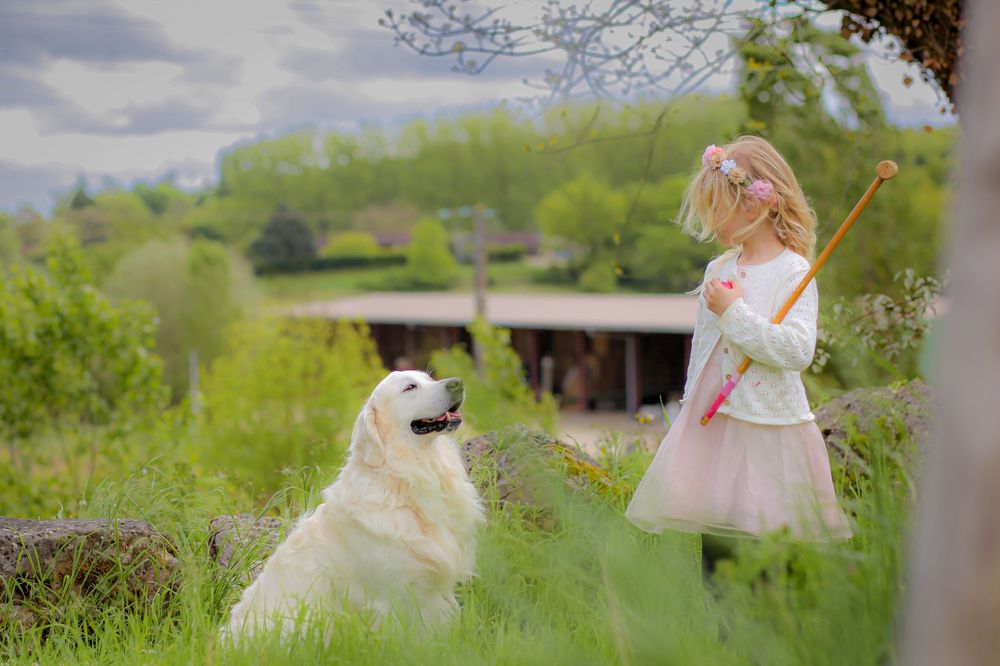White fluffy dog and children playing in a spring meadow with blooming flowers.