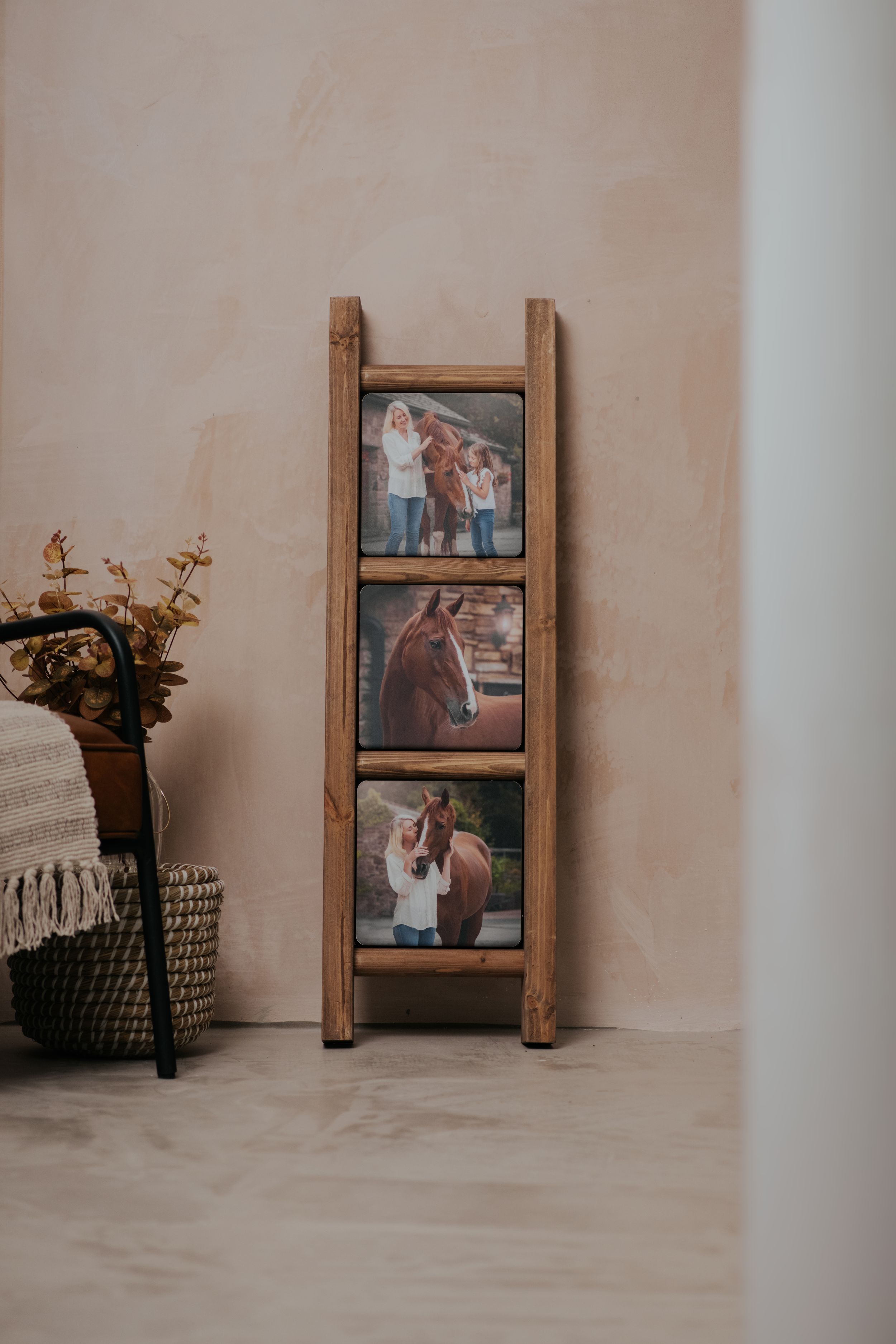equine photography frame manchester