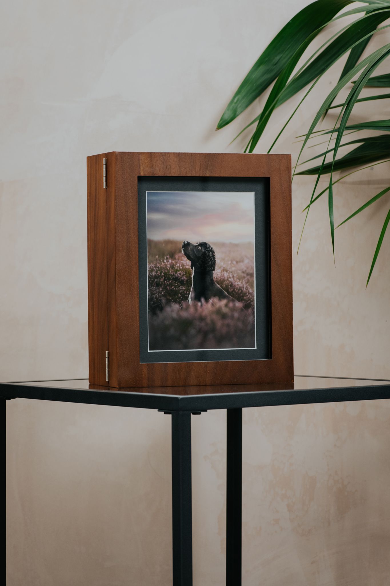 window frame print box with spaniel