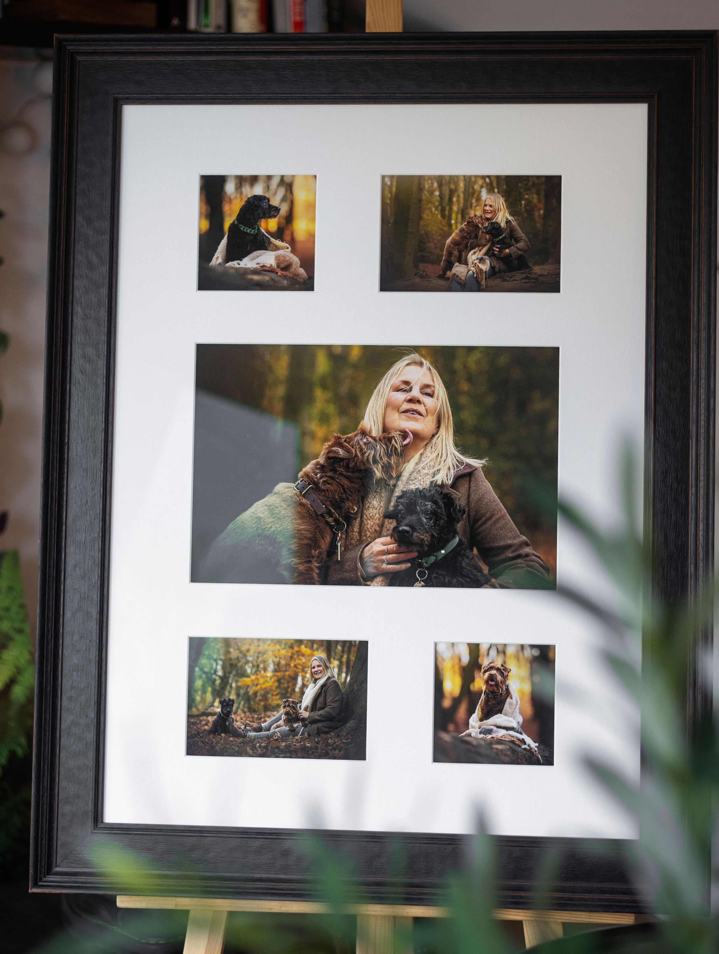 multi image frame pet photography