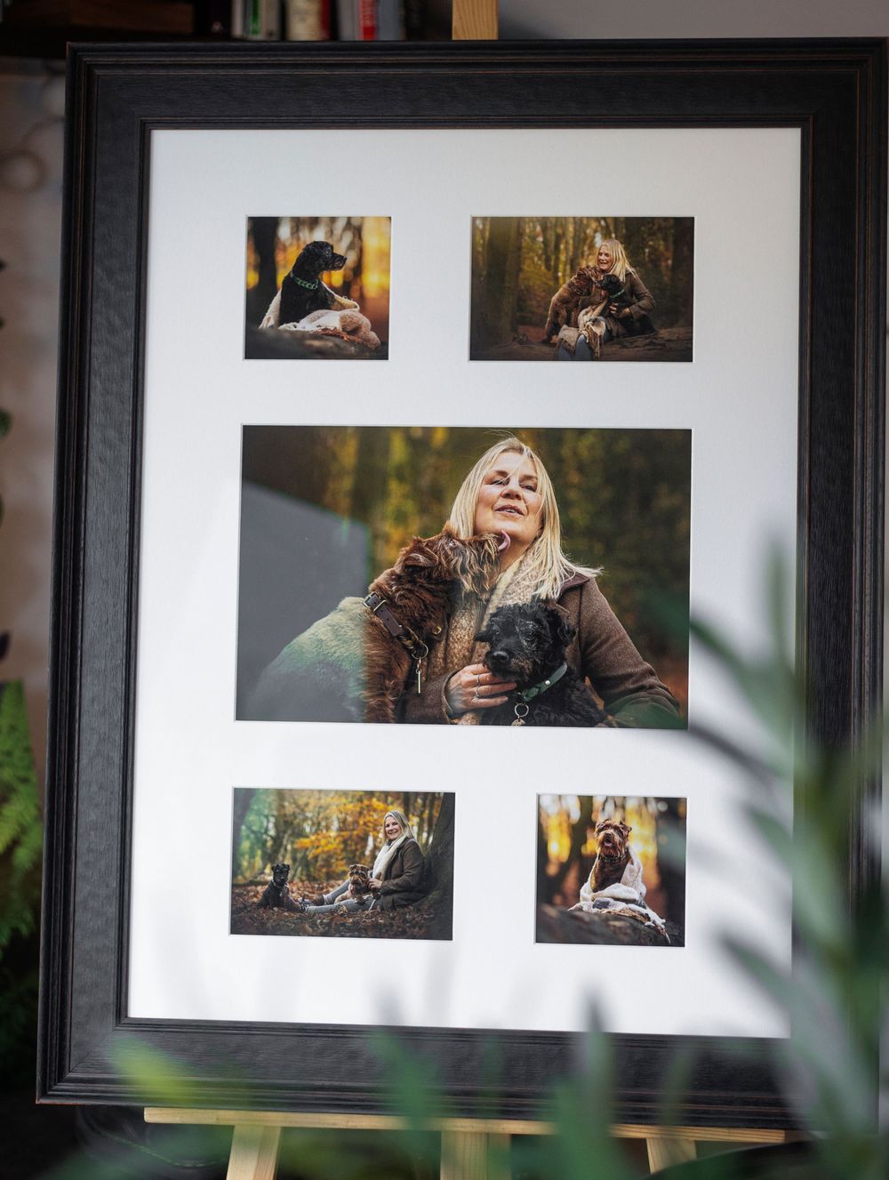 multi image frame pet photography