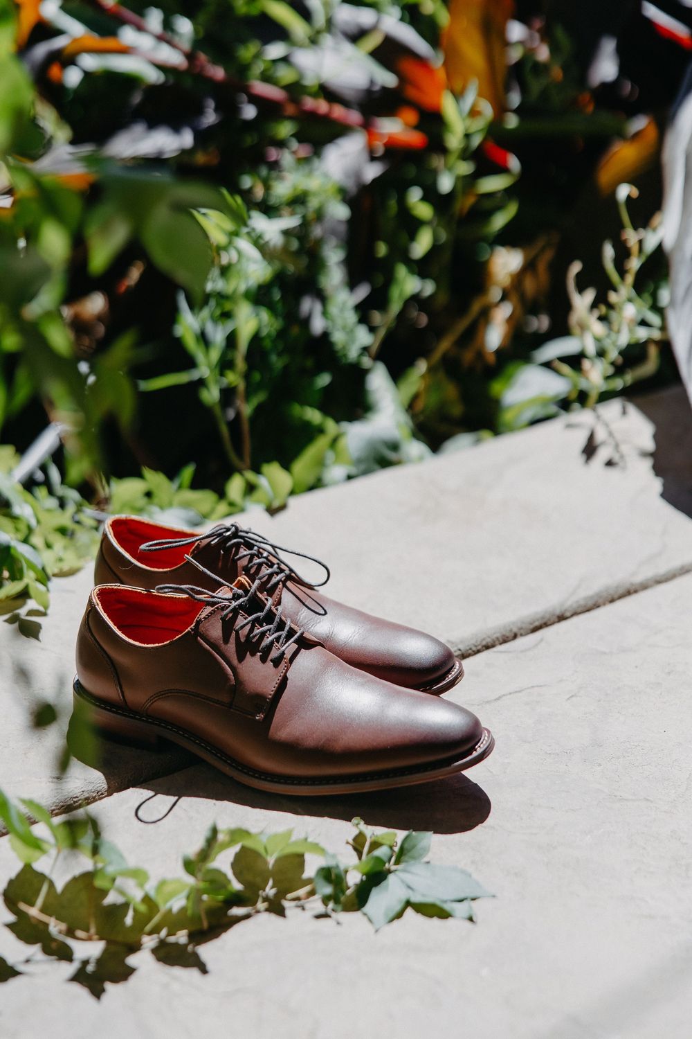 A pair of polished brown leather dress shoes displayed on white surface with greenery in background.