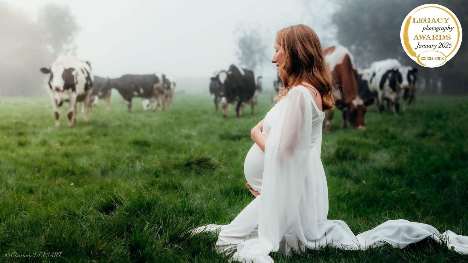Séance photo de grossesse matinale en extérieur, capturée dans une brume douce avec des vaches en arrière-plan, créant une atmosphère calme