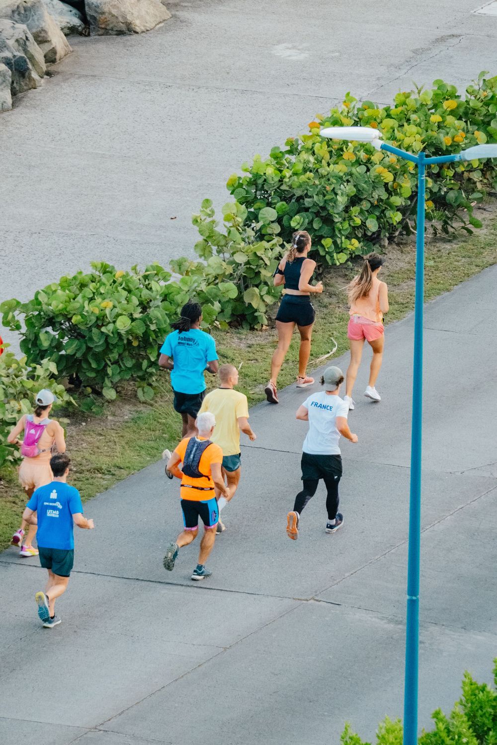 A group of people jogging along a paved pathway bordered by green plants and bushes.