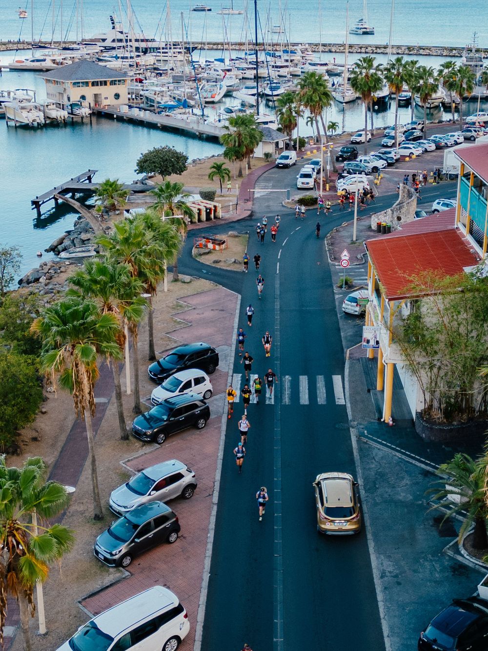 Aerial view of a marina boardwalk with palm trees, parked cars, and boats docked at Key West harbor on a sunny day.