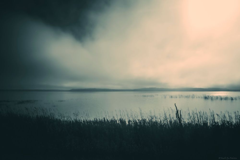 Moody lakeside scene with silhouetted reeds against foggy waters at twilight.