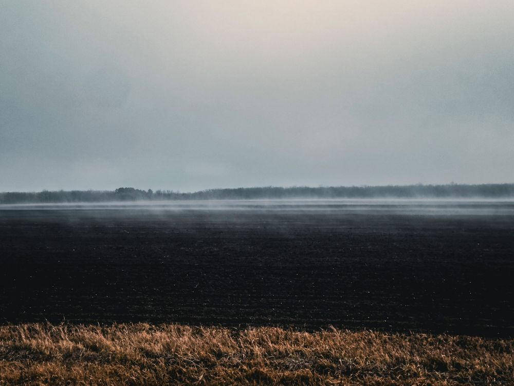 Stark contrast between plowed dark field and golden grasses under a moody winter sky.