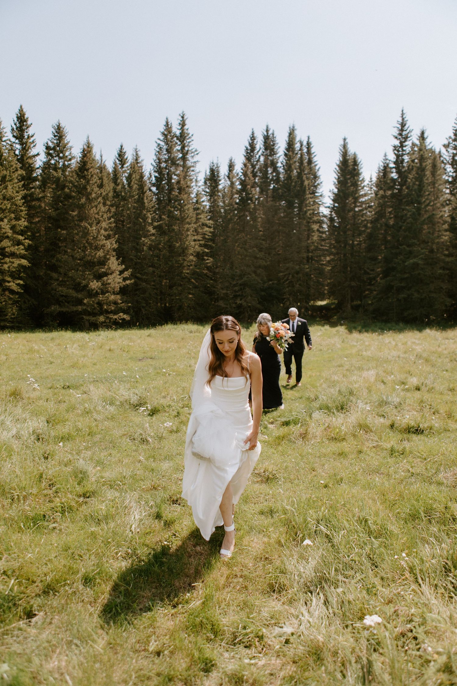 Wedding party walking through mountain meadow with evergreen forest backdrop.
