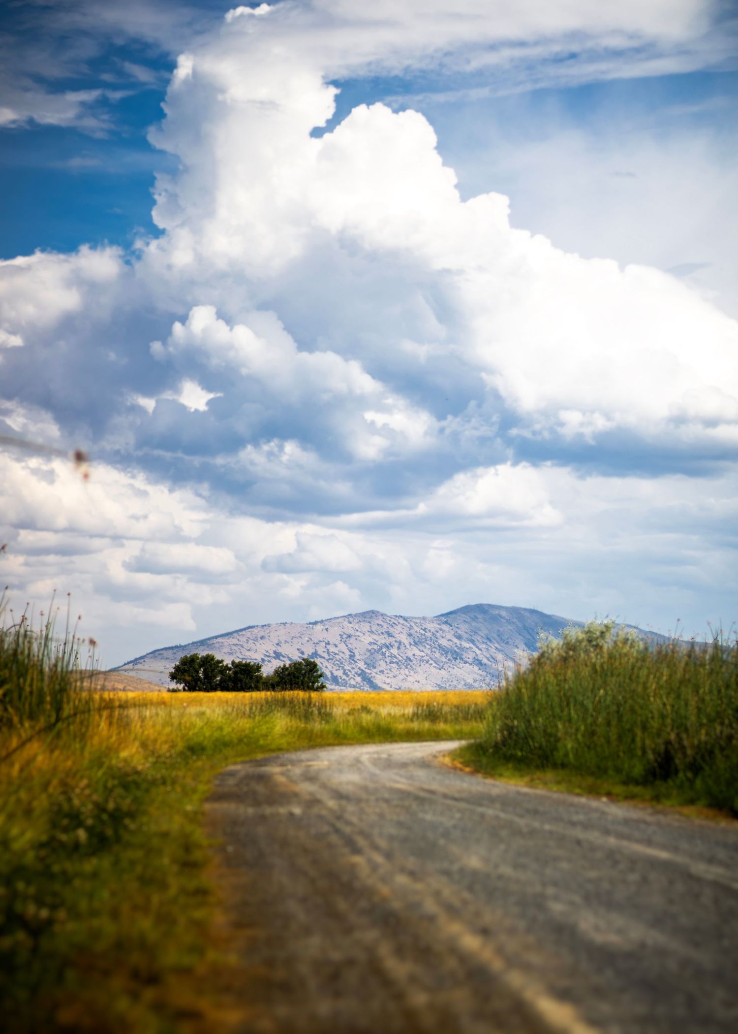 dirt road leads around corner of green fields, mountain can be seen in distance and majestic clouds fill the sky