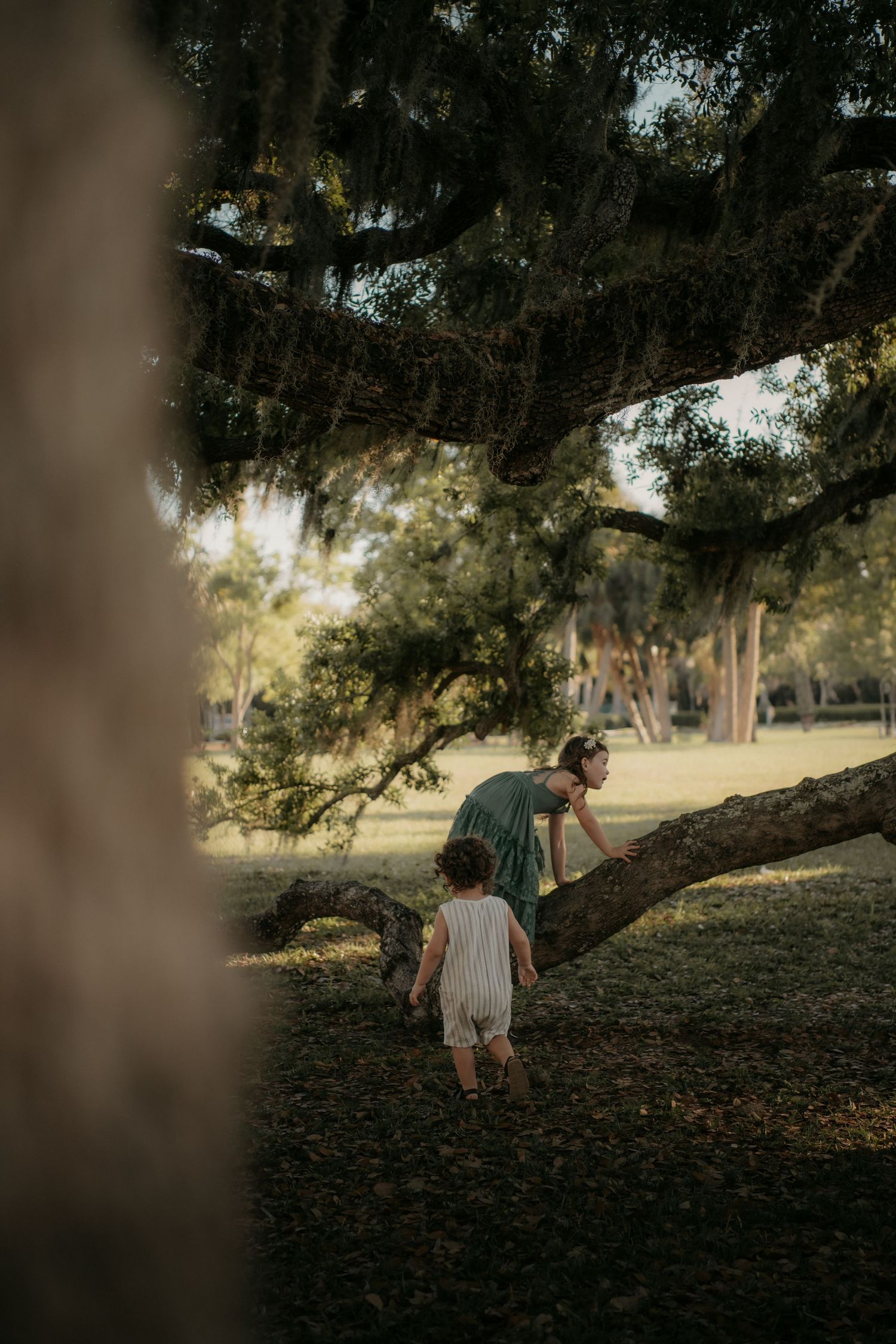 A parent lifts their small child wearing a dress up into the air against a golden sunset and trees in the background.