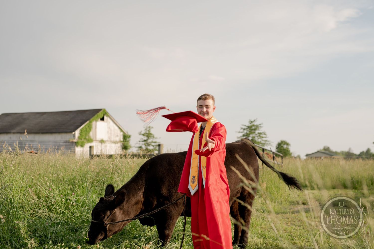 A graduate in red regalia celebrates in a field with their show cow and a barn in background.