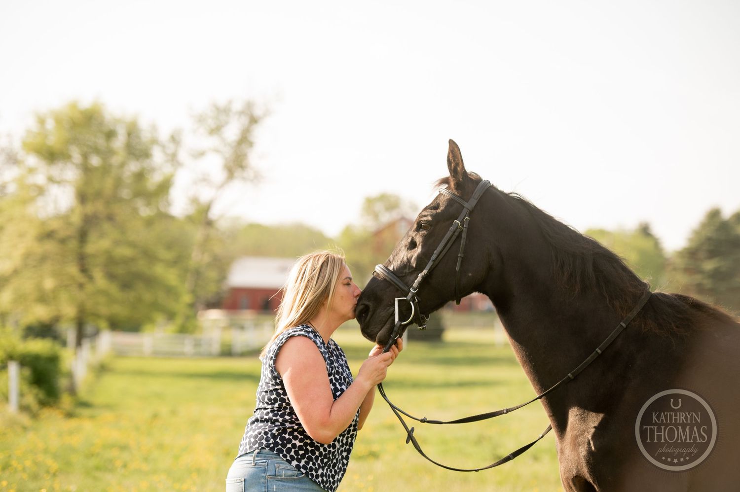 A heartwarming moment shared between a person and their black horse in a sunlit pasture.