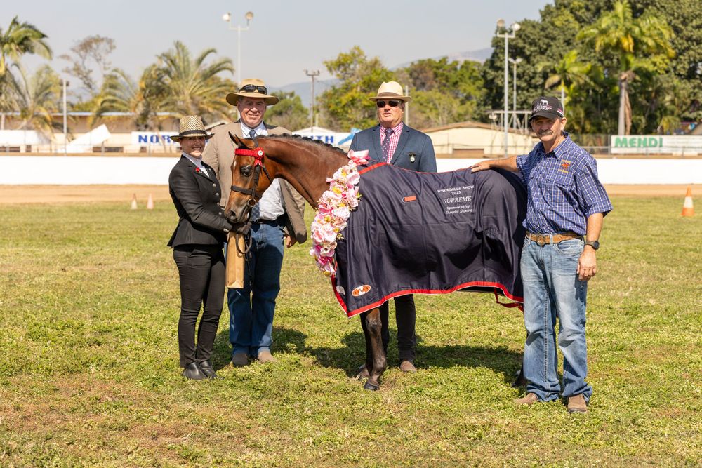 A show horse wearing a dark blanket stands with multiple handlers on a grassy field.