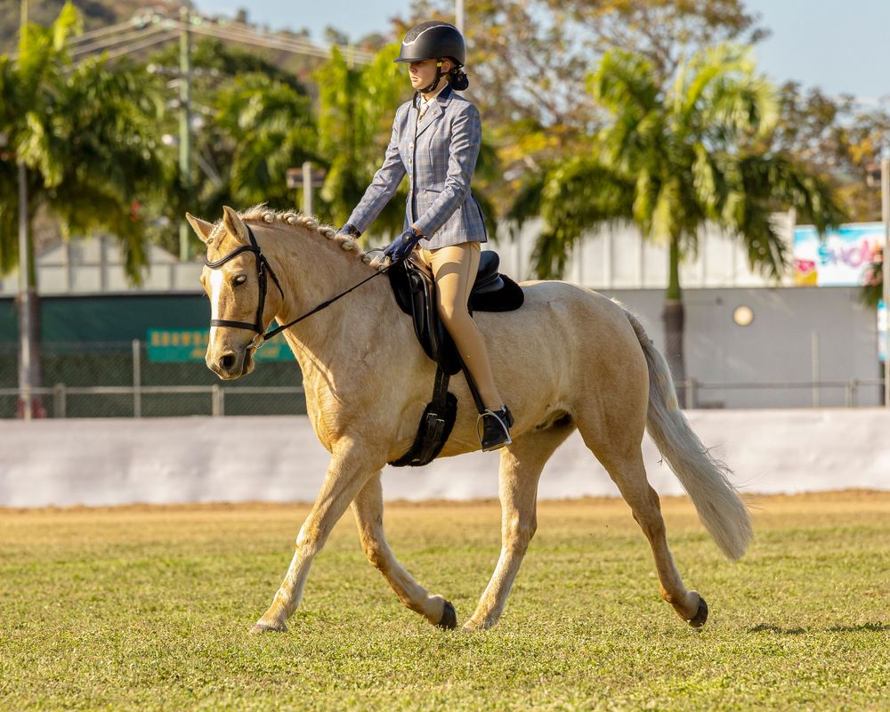 Equestrian riding a pale colored horse in an outdoor arena.