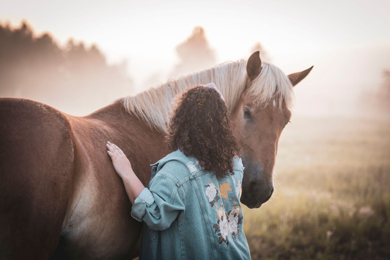 A close bonding moment between a horse and a companion in a misty field during golden hour.