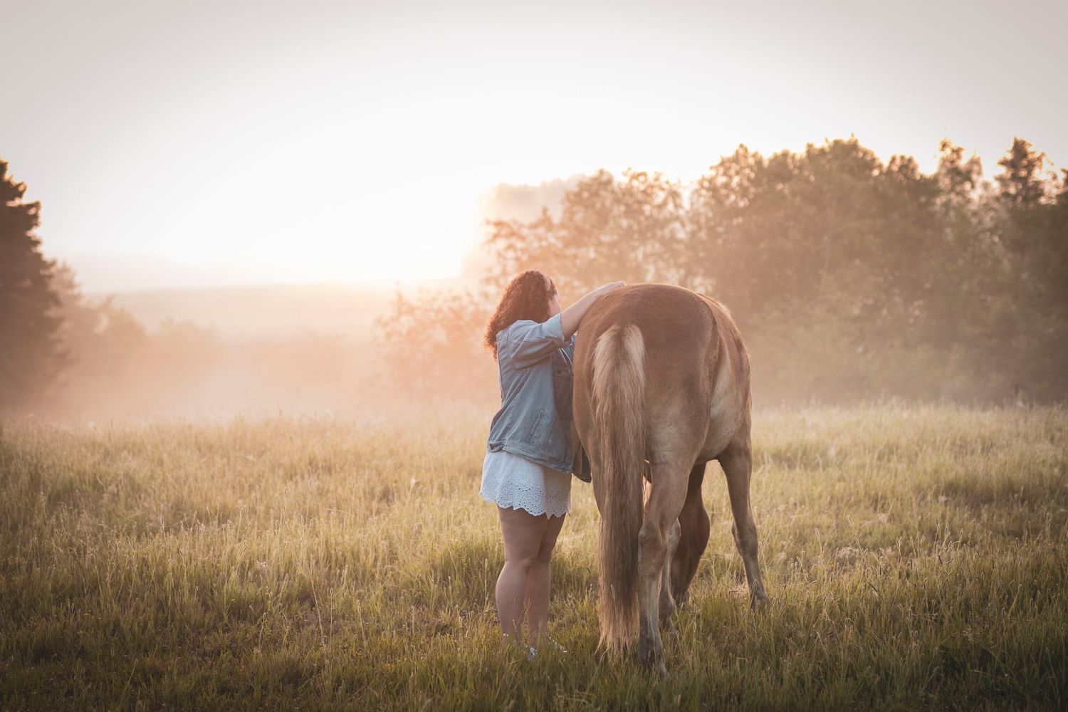 A tender moment between a horse and companion in a sunlit field at dusk.