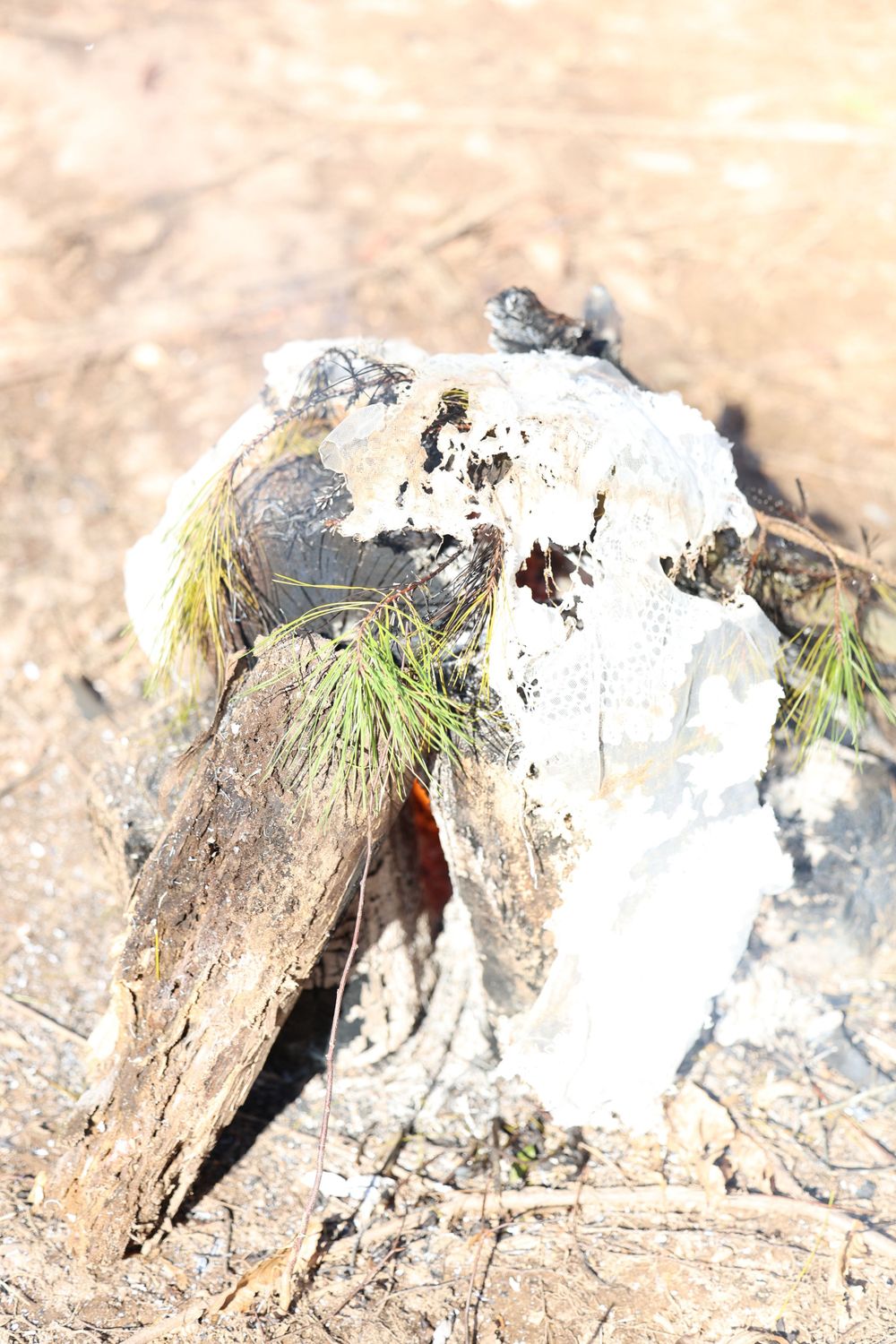 Trash and burn the wedding dress for a my divorce is final photoshoot. Getting closure to move on.