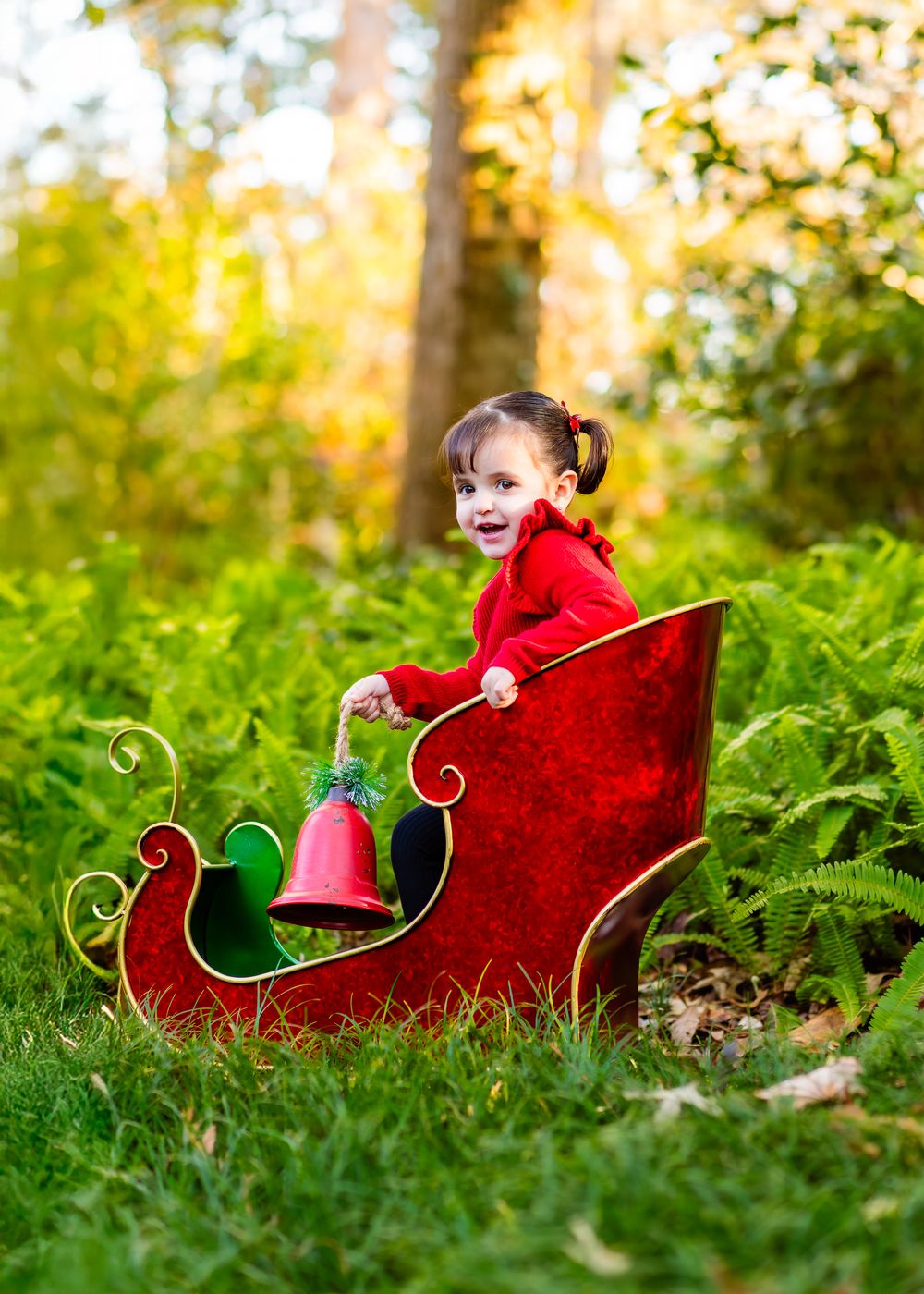 A decorative red metal Christmas sleigh sits in green grass with golden sunlight filtering through autumn trees.