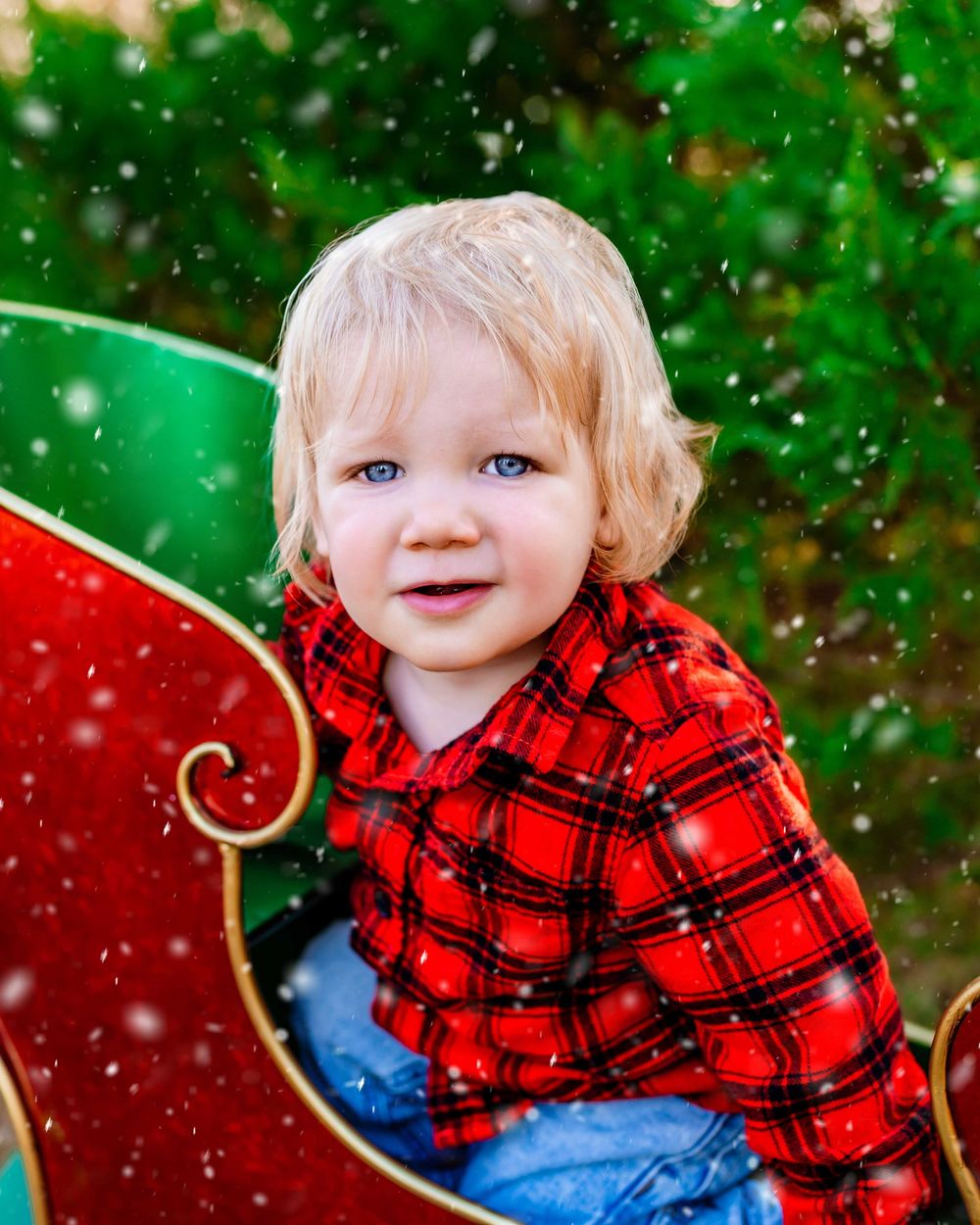 Festive winter photo shoot with red plaid flannel against green evergreen background with falling snow effect.