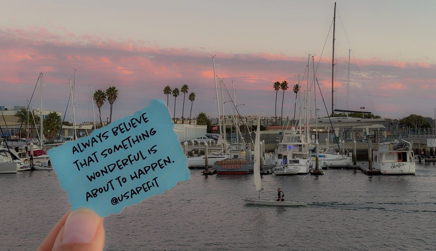 Boats anchored in a marina at sunset with palm trees silhouetted against a colorful pink and orange sky.