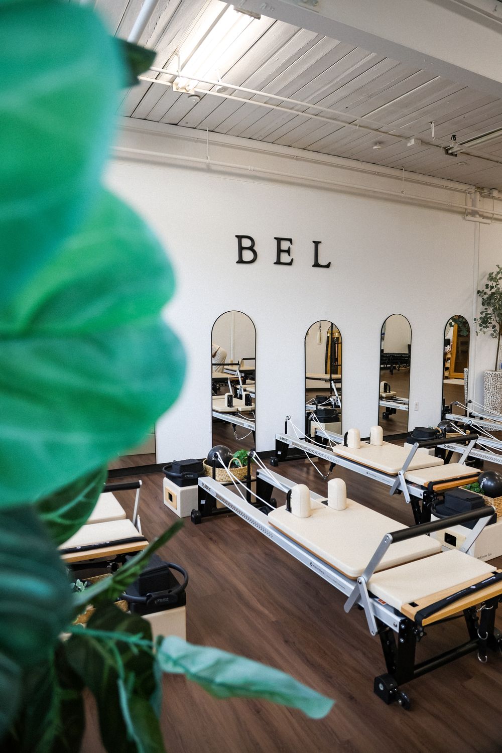 BEL Pilates studio interior with reformer machines, arched mirrors, and lush green plants on dark hardwood floors.