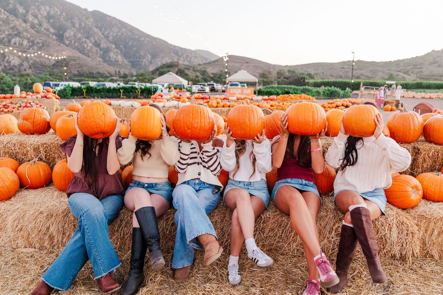 Group sitting on hay bales at a pumpkin patch with orange pumpkins displayed behind them against mountain backdrop.