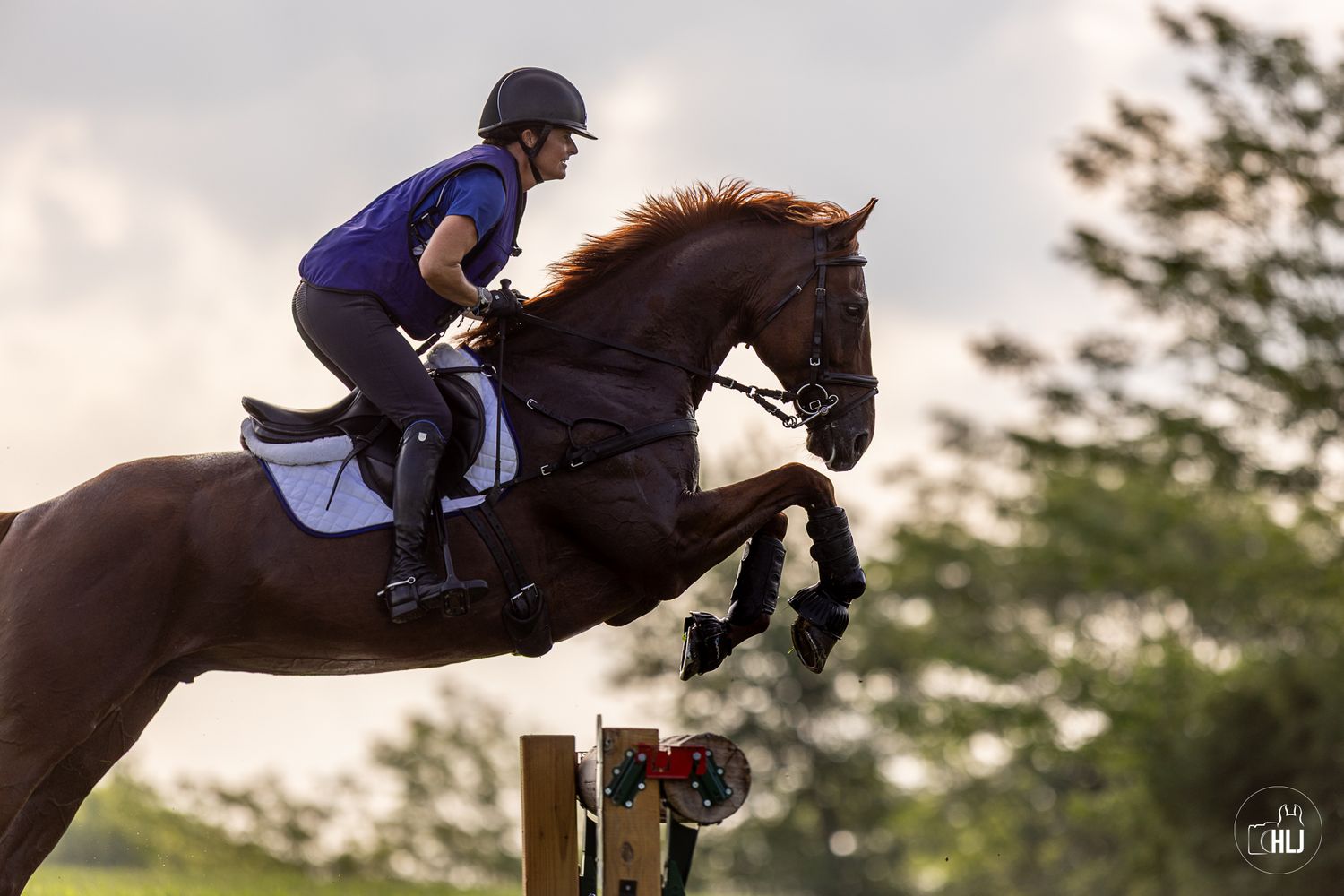 A sequence of equestrian jumping shots shows a horse and rider clearing obstacles during a competition at sunset.