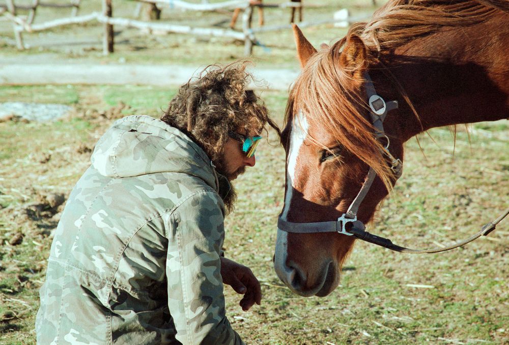 Outdoor interaction between a man and a horse, captured up close.