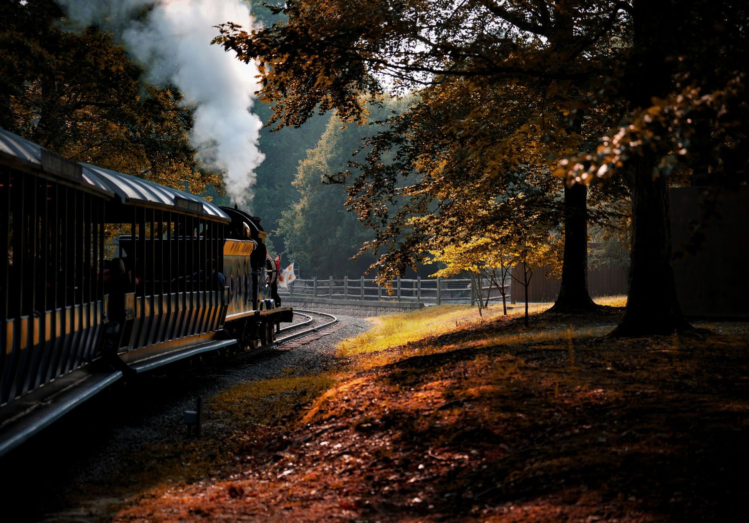 Steam train passes through a misty autumn forest with golden sunlight streaming through colorful fall foliage.
