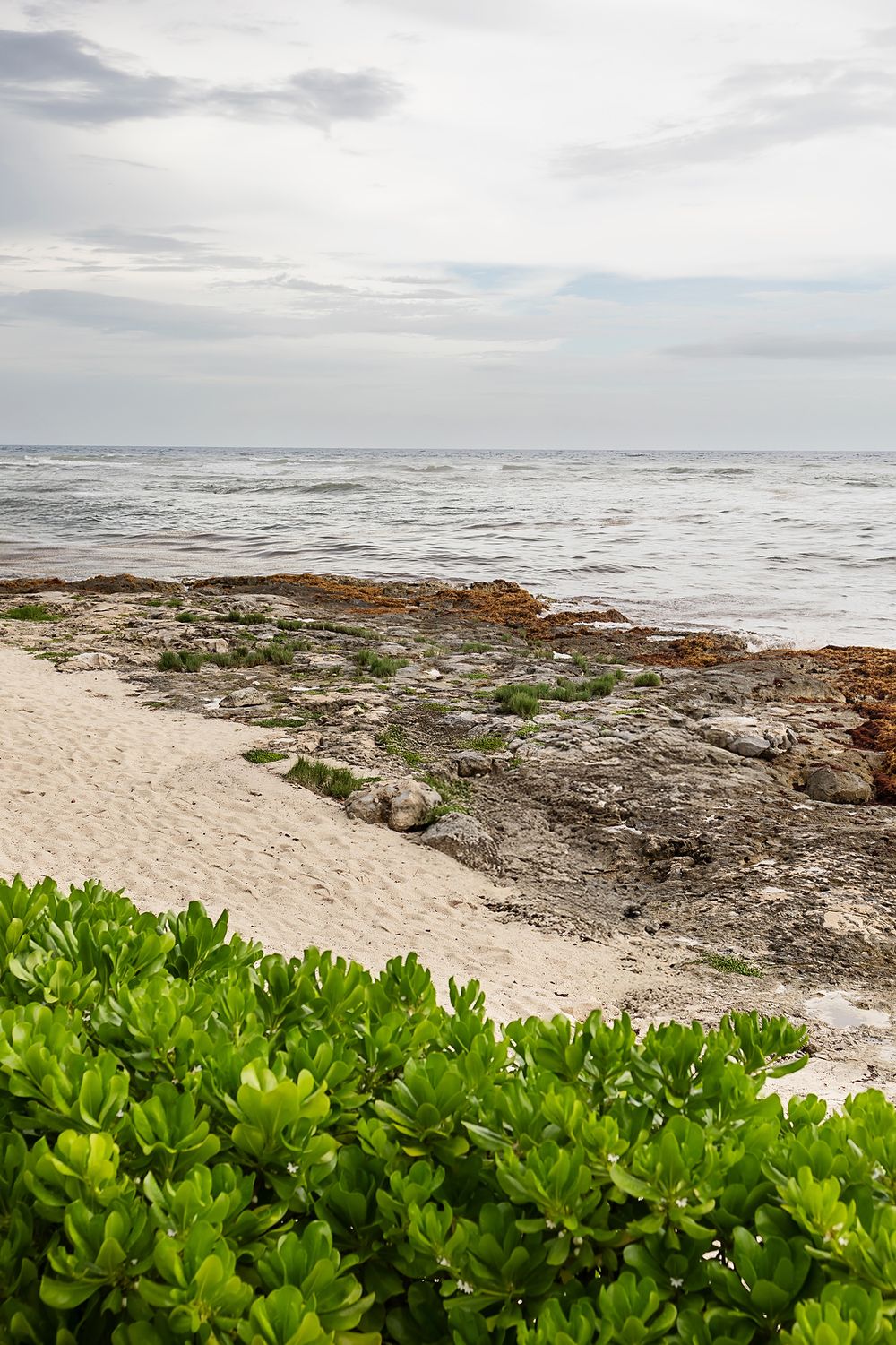 Coastal beach landscape with rocky shore, crashing waves, and lush green foliage under cloudy skies.