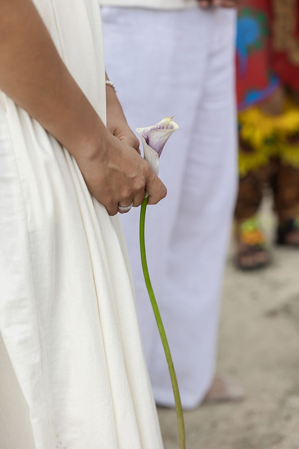 Close-up of hands holding a single white calla lily against a flowing white dress.