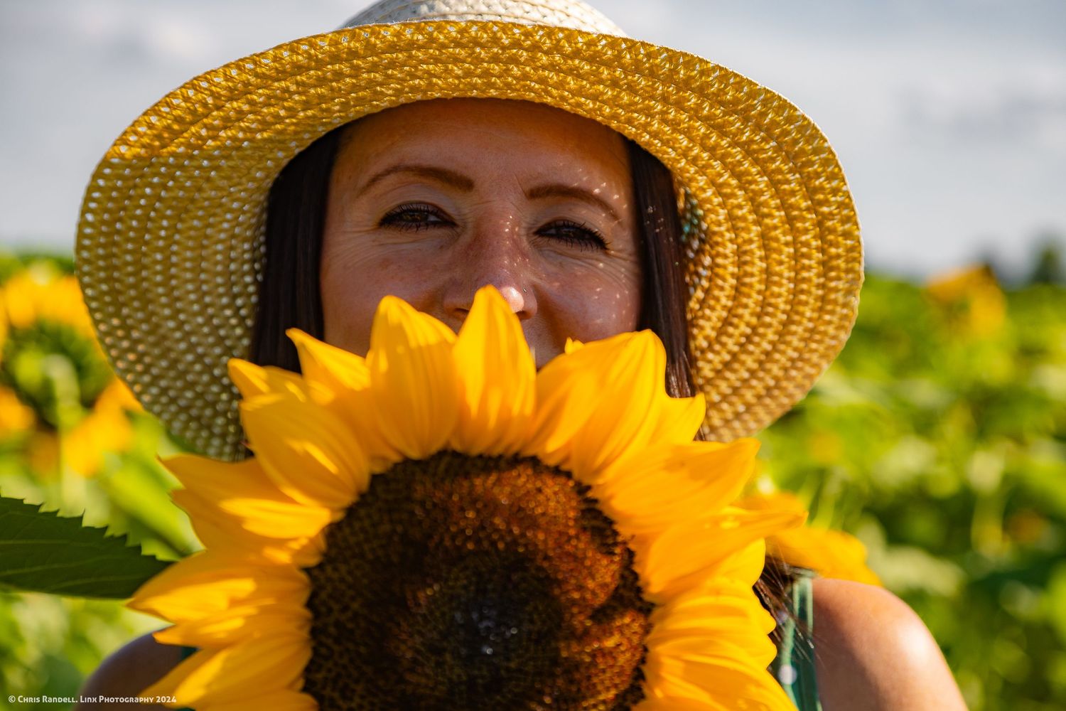 Beautiful Individual Portrait of Nadia Kastovska in Summer Sunflower Fields, Photo by Linx Photography, Barrie, Ontario
