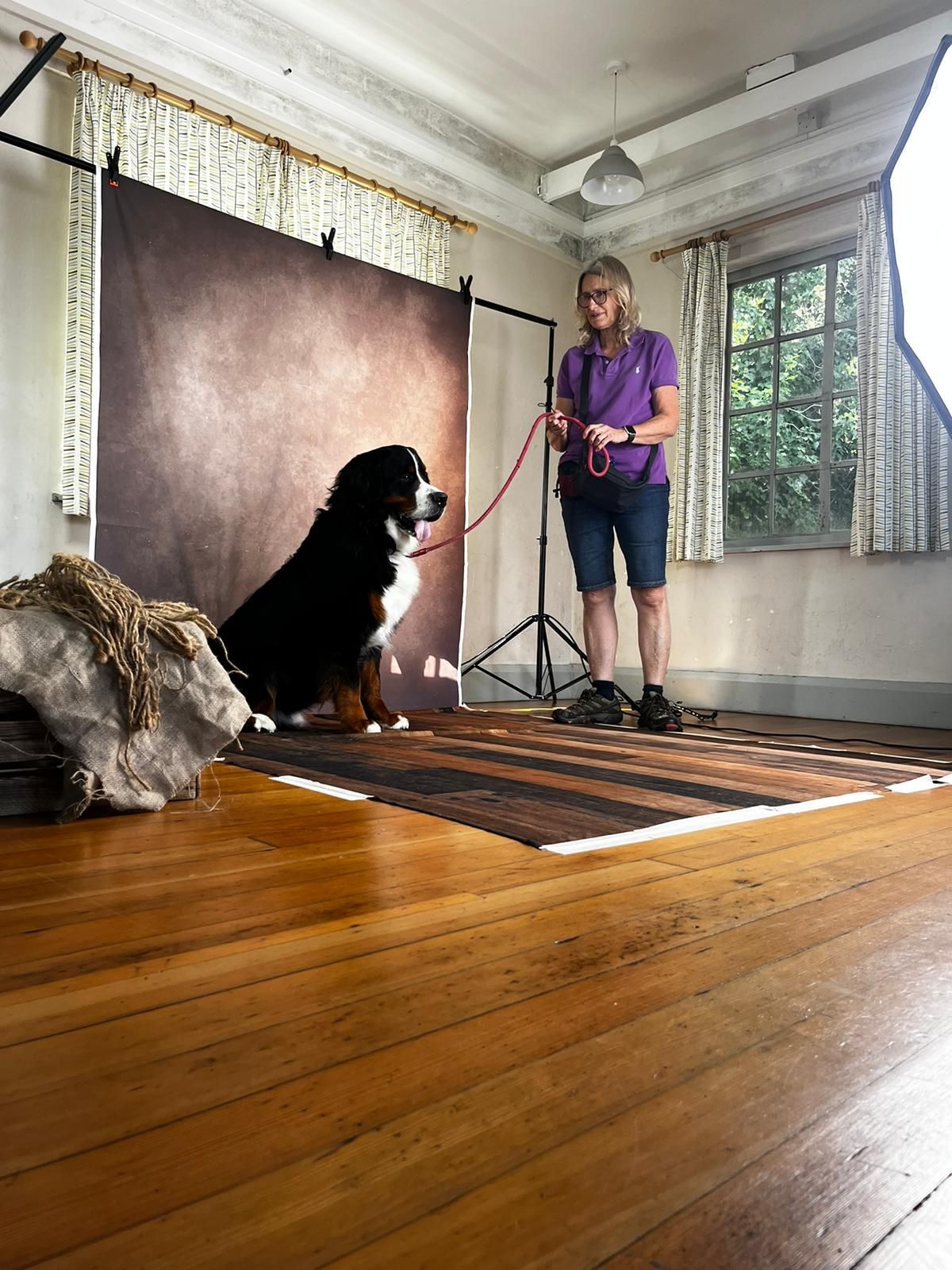 A time-lapse photo series showing a photography backdrop and lighting setup being assembled in a room with hardwood floors.
