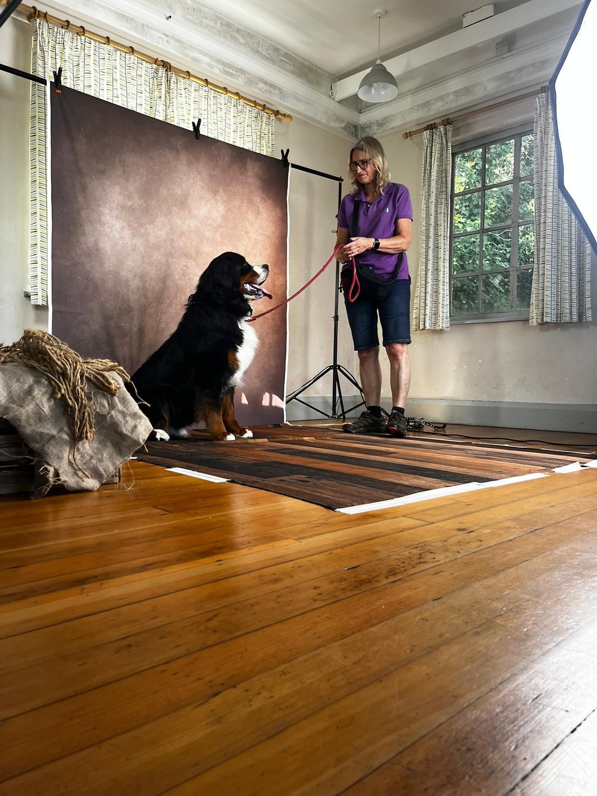 House renovation tools and materials being used to transform a wood floor by removing old floorboards in sequential steps.