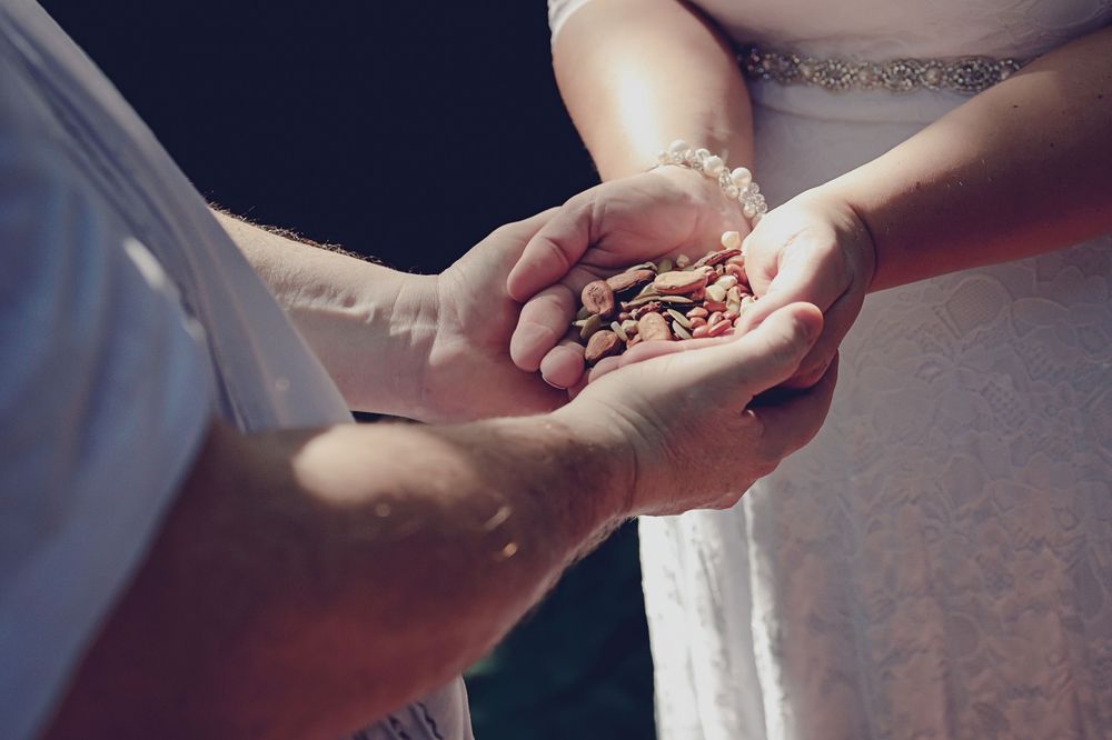 Two pairs of hands gently hold small rose gold wedding rings in front of white formal attire.
