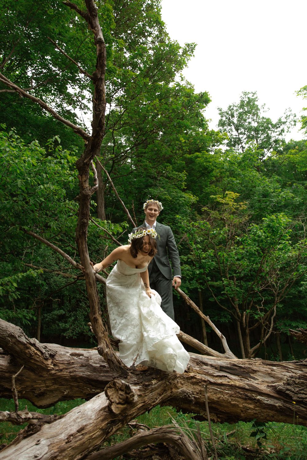 Wedding couple balances on a fallen tree trunk surrounded by green forest foliage.