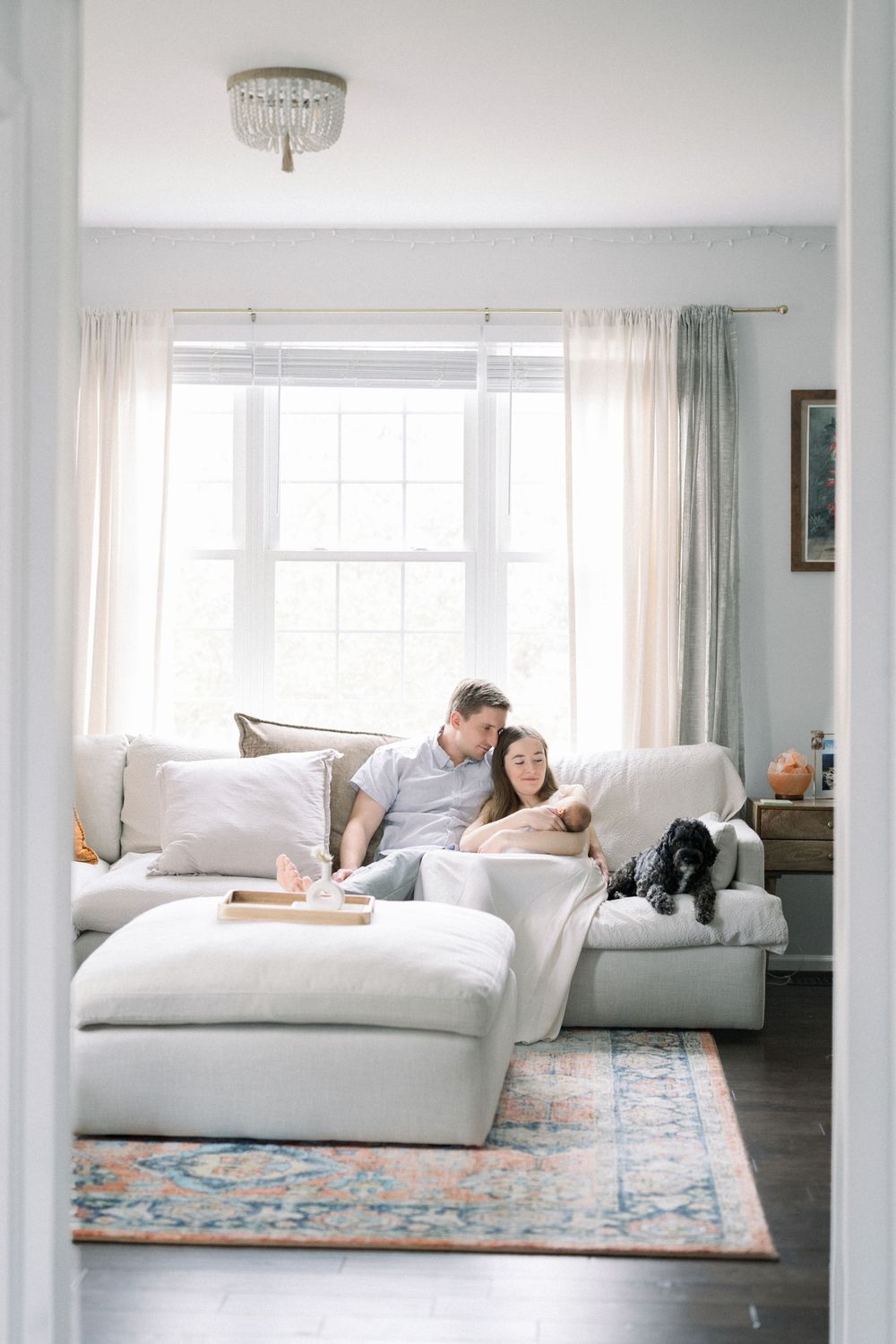 Interior scene with two pets lounging on white sectional couches atop a blue patterned rug in bright sunlit room.