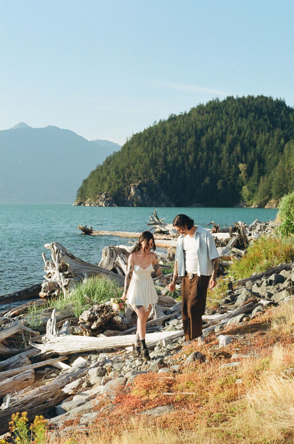 Scenic coastal view with driftwood and mountains in the background on a sunny day.