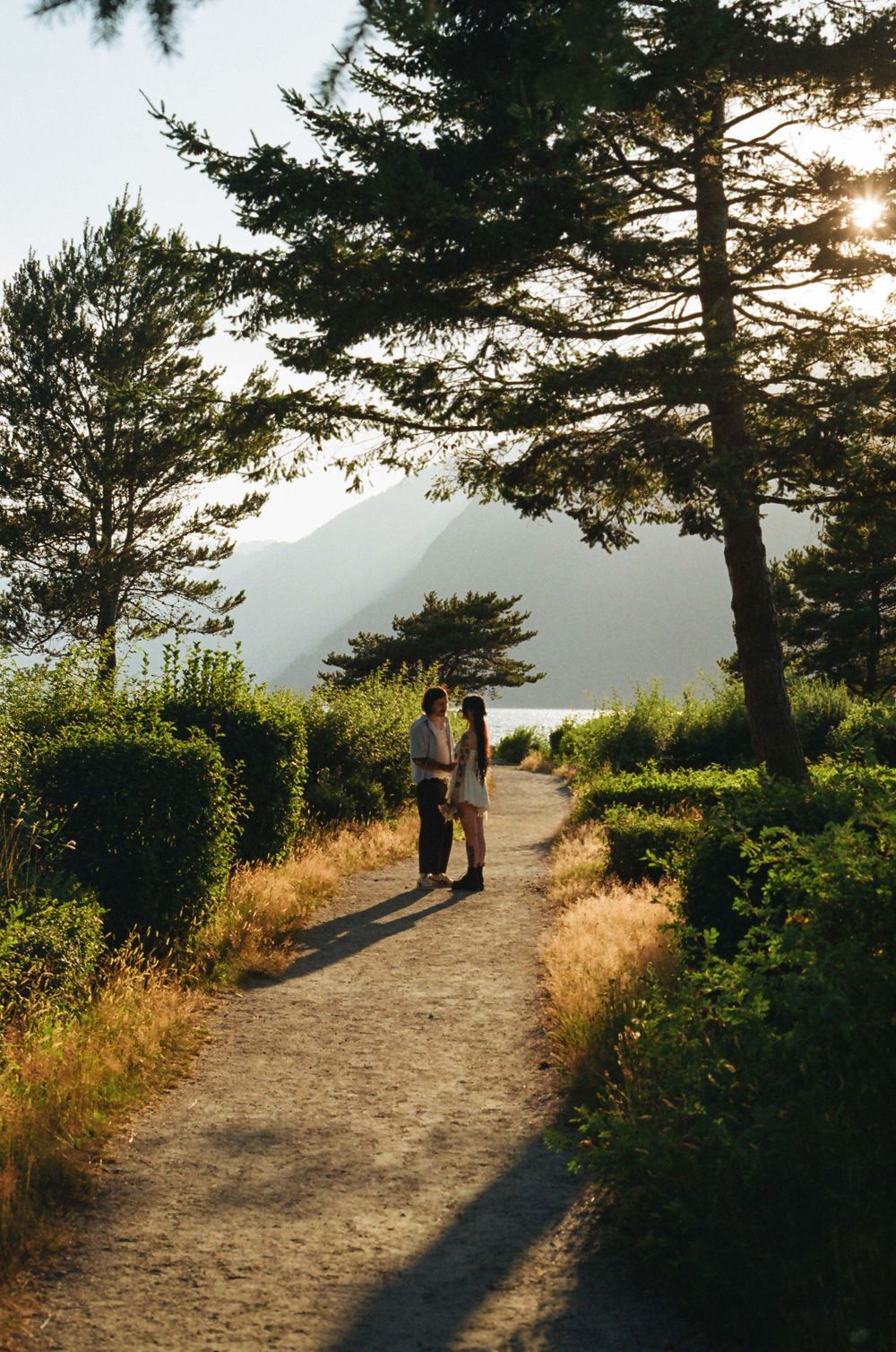 Dirt path winding through coastal vegetation with mountain views at sunset.